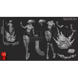 Disposition des pièces