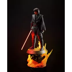 Tu étais mon frère, Anakin ! Je t'aimais."