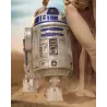 'icône ultime de Star Wars prend vie — ajoutez cette pièce rare à votre collection et entrez dans la légende"