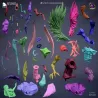 les pièces du kit