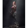 "Quand Assassin's Creed rencontre 
l'art numérique de haute volée..."
Anne Bonny comme vous ne l'avez 
jamais vue.