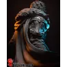 Détails de l'armure