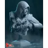 Buste Edward Kenway – Figurine de collection