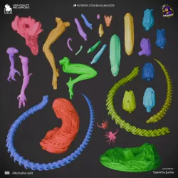 les pièces du kit