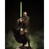: Le Maître Jedi prêt au combat. Une posture dynamique et iconique de Qui-Gon Jinn, brandissant son sabre laser vert