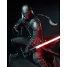 ’univers Star Wars Légendes Starkiller (Galen Marek)