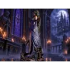 Shanoa, l'arme ultime de l'Ordre d'Ecclesia, arborant la marque luminescente de son glyphe magique sous la brume de la nuit