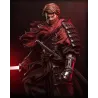 igurine Anakin Skywalker Ronin Samouraï - Statuette Star Wars