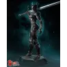 Daans le jeu la guerrière propose un gameplay dynamique axé sur le "haut risque.