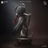 Vue arrière de profil bas accentuant l'aspect destructeur de l'arme. Le verso du kit révèle toute la fluidité de la cape
